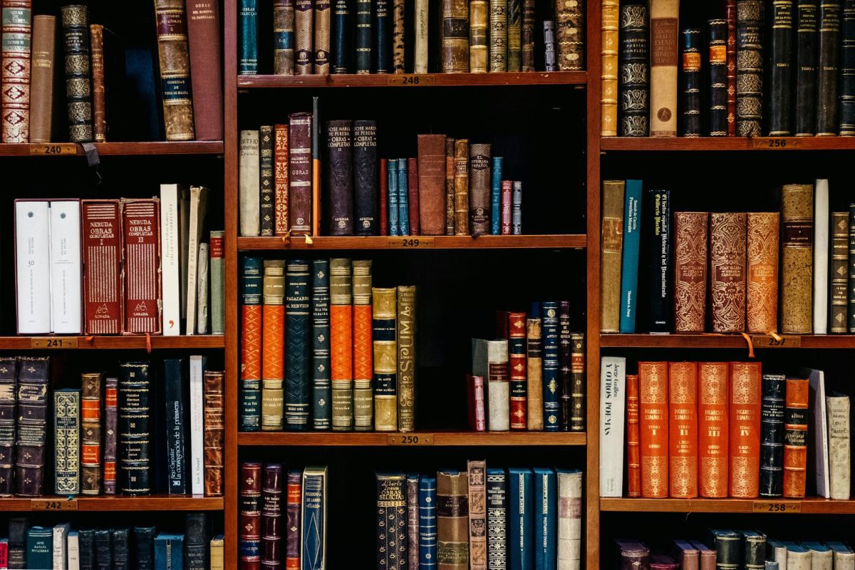 Need Summer Plans? Consider the Library